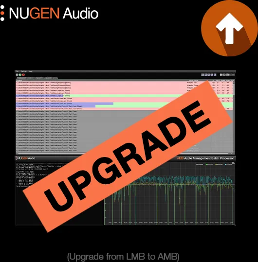 AMB Loudness Module