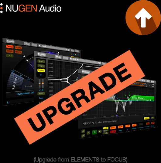 Focus Bundle