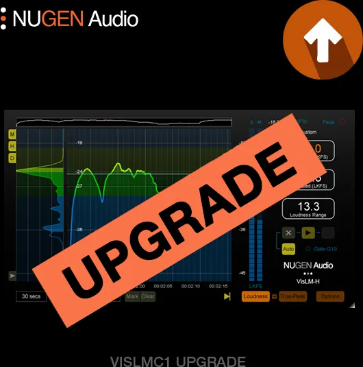 VisLM 2