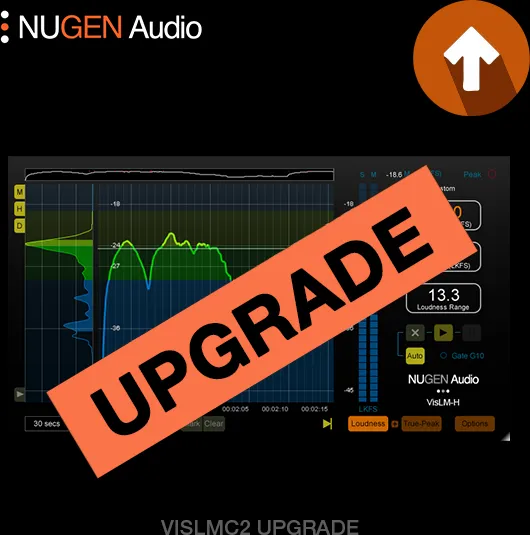 VisLM 2